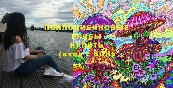 дмт Аркадак