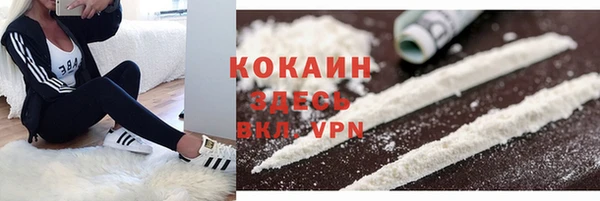 дмт Аркадак